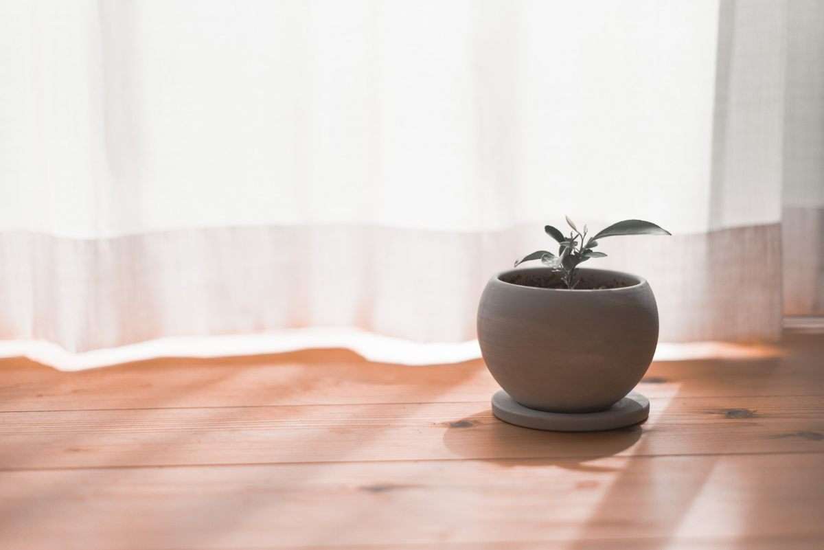 無垢床リフォームで後悔しない！素材別比較と長持ちさせるメンテナンス方法