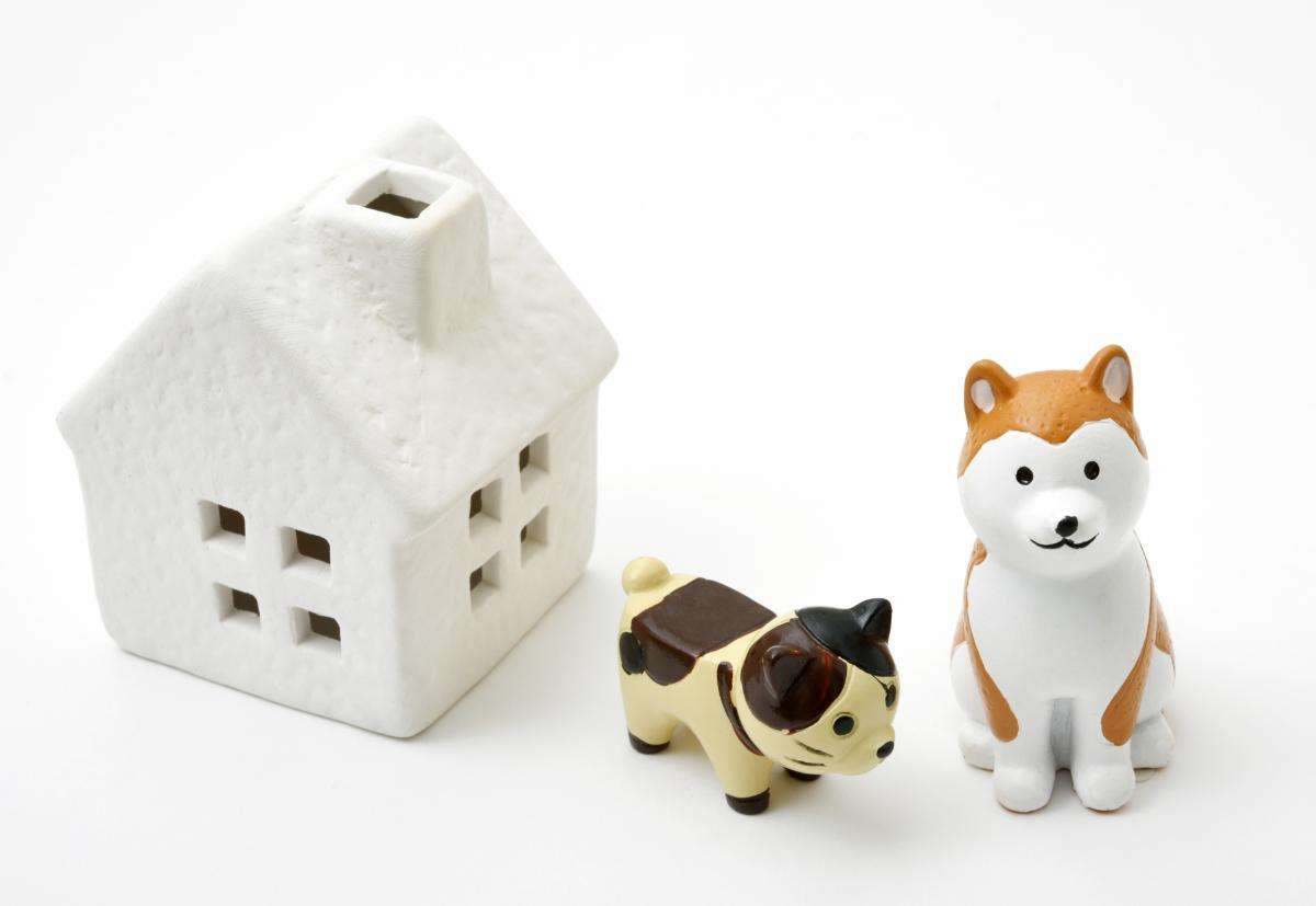 リフォームでペットと快適に暮らす方法とは？マンション対応の防音と臭い対策